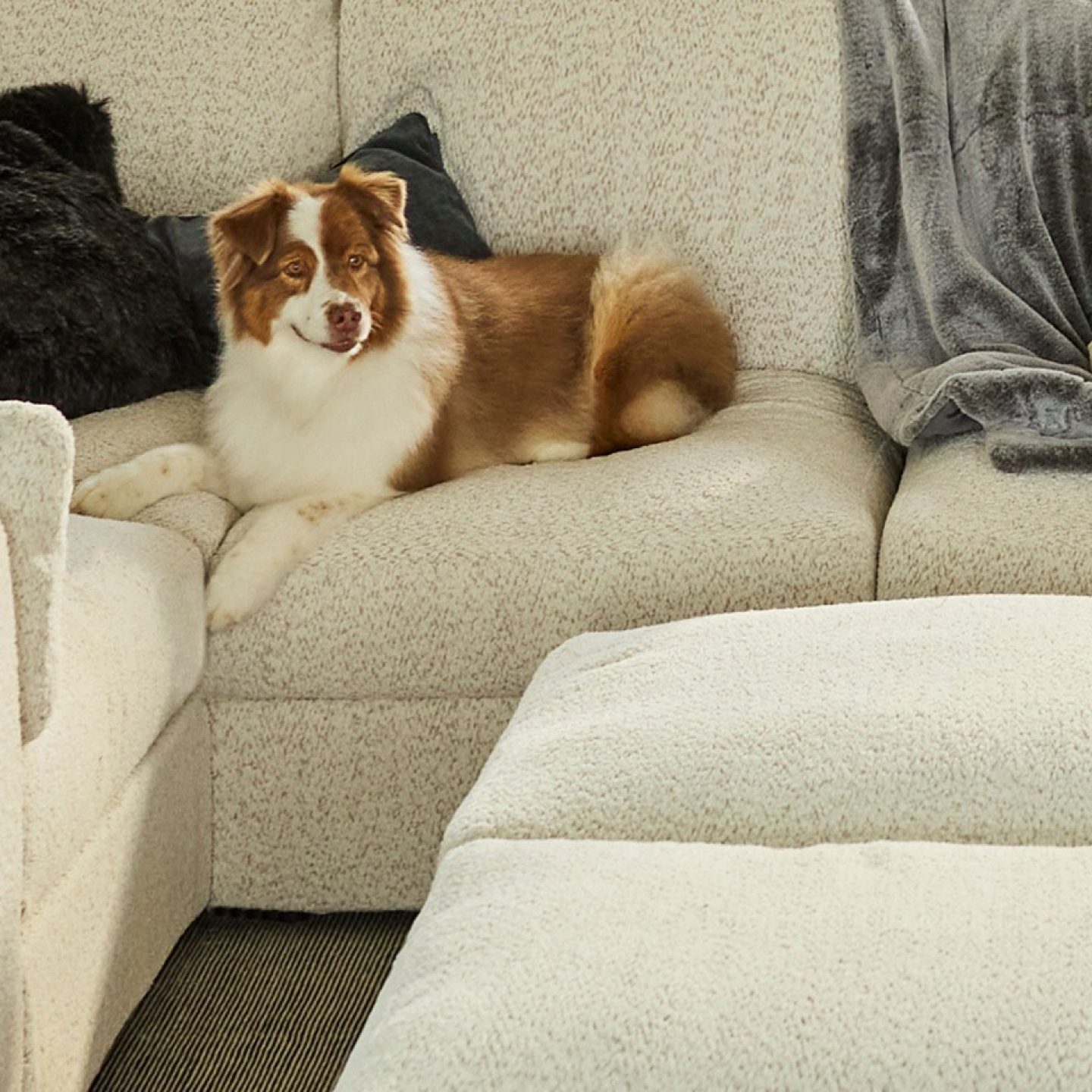 Storewide Sale at Lovesac