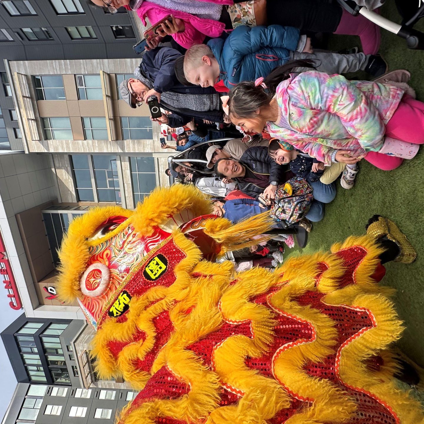 Lunar New Year Celebration