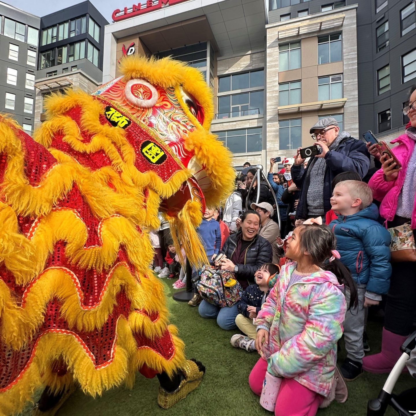 Lunar New Year Celebration