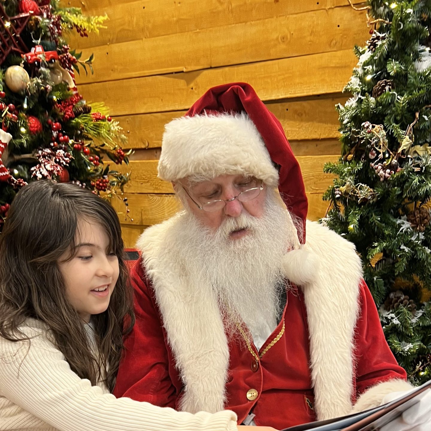 Photos with Santa