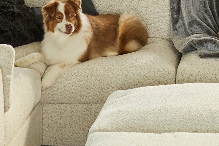 Storewide Sale at Lovesac