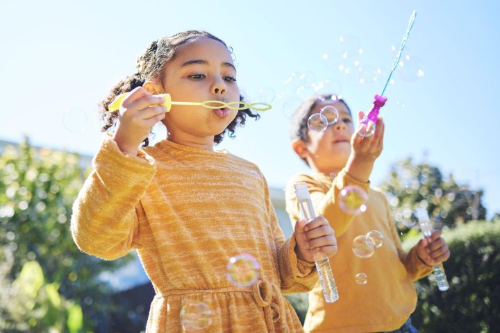 Village Fun Days